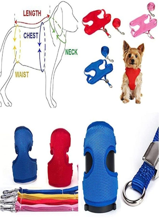 PET FUN Padded Vest Harness Set with Leash for Small Dogs, Cats, & Puppies | Adjustable Soft Mesh Harness for Training & Walking | Lightweight & Breathable with Secure Buckle (Multicolour, 10 MM) - Image 4